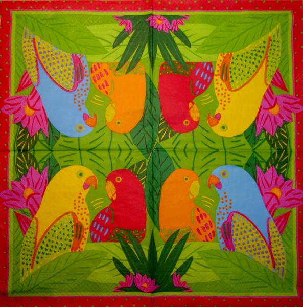 019 Parrot - 3-ply - Ihr